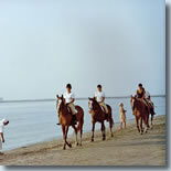 Promenade à cheval le long de la plage de Alberoni